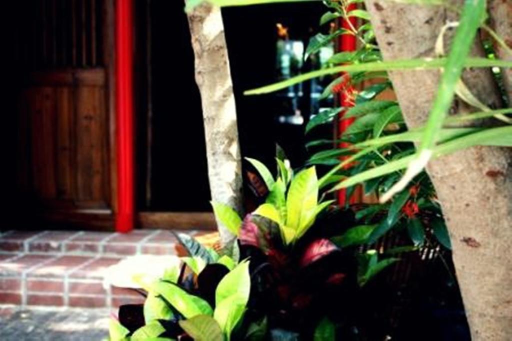Rainforest Bed & Breakfast Kuala Lumpur Eksteriør billede